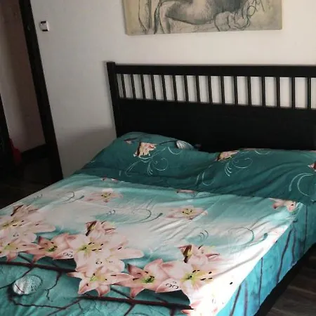 Black&white Ultracentral Apartment Craiova