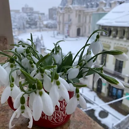 Black&white Ultracentral Appartement