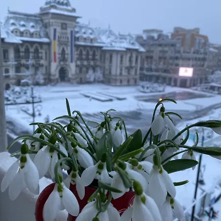 Black&white Ultracentral Appartement *