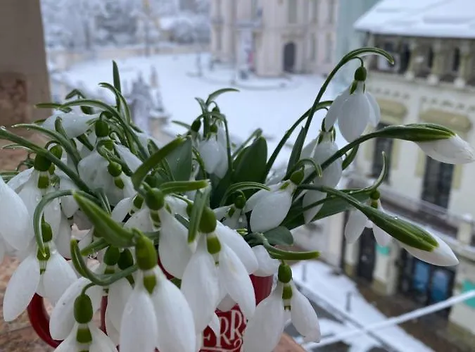 Black&white Ultracentral Daire