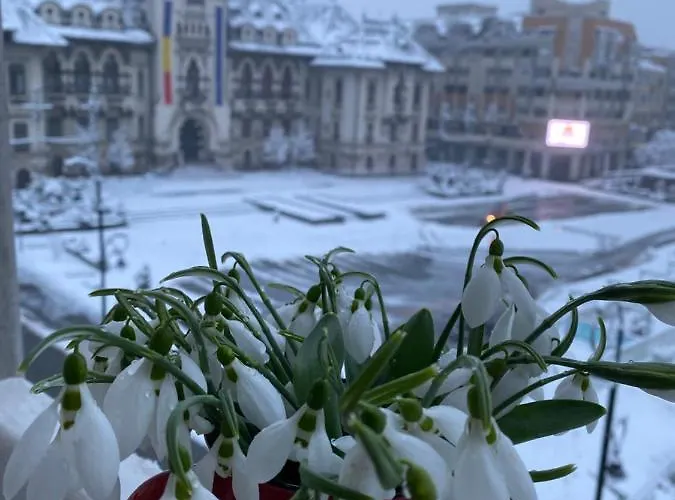 Black&white Ultracentral Daire *