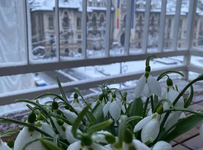 Black&white Ultracentral Craiova